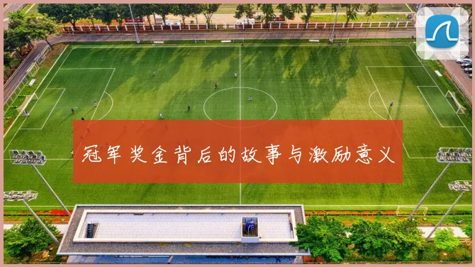 冠军奖金背后的故事与激励意义